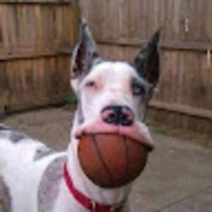 Meet your Posher, Maksim